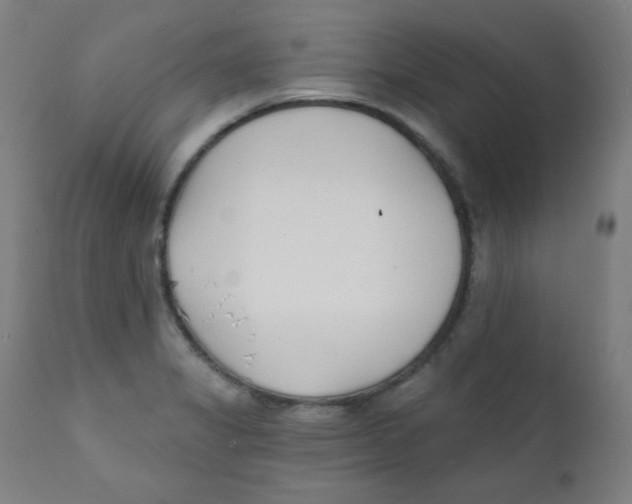 X0000112181325200909041220