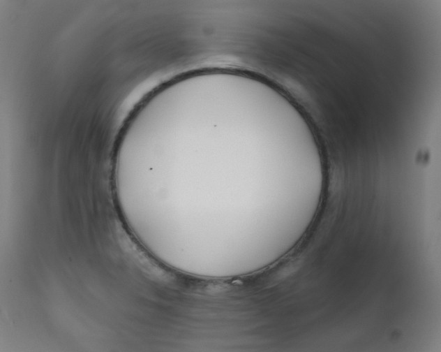 X0000112181326200909041220