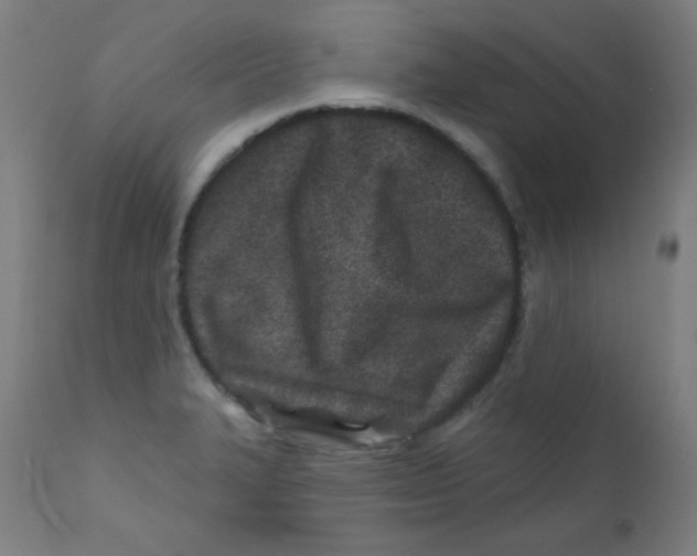 X0000112181327200909041220