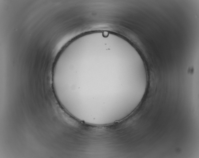 X0000112181328200909041220
