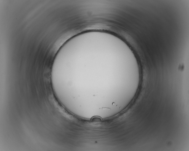 X0000112181329200909041220