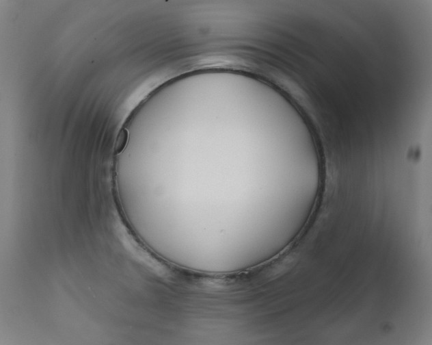X0000112181330200909041220