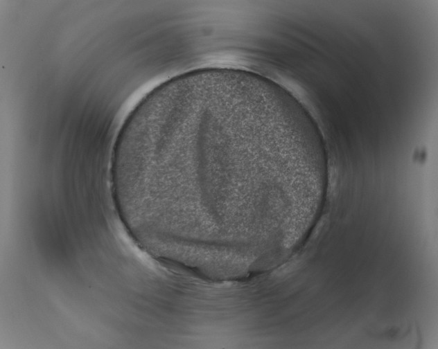 X0000112181331200909041220