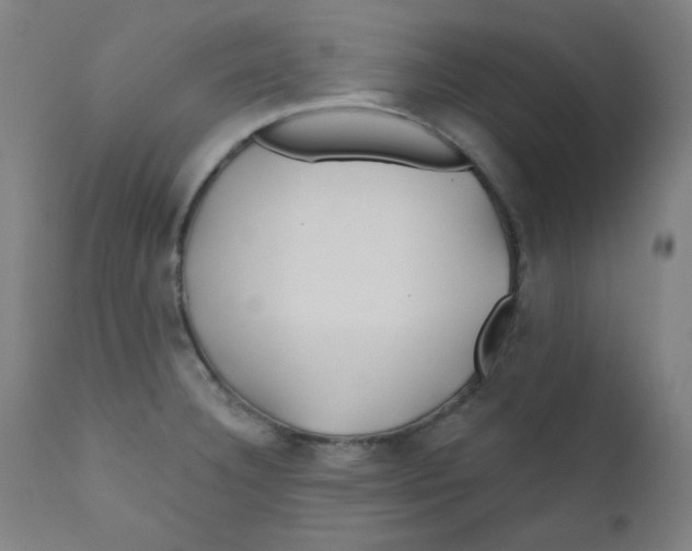 X0000112181332200909041220