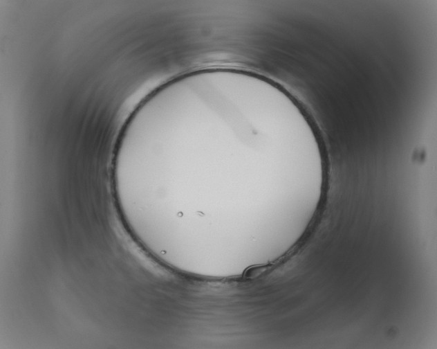 X0000112181333200909041220