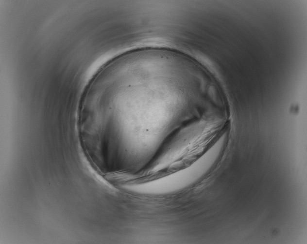 X0000112181334200909041221