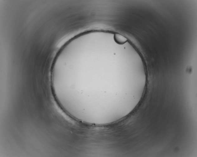 X0000112181335200909041221