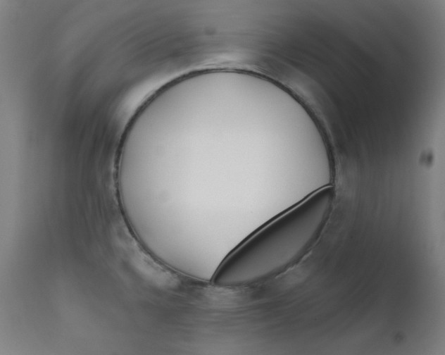 X0000112181336200909041221