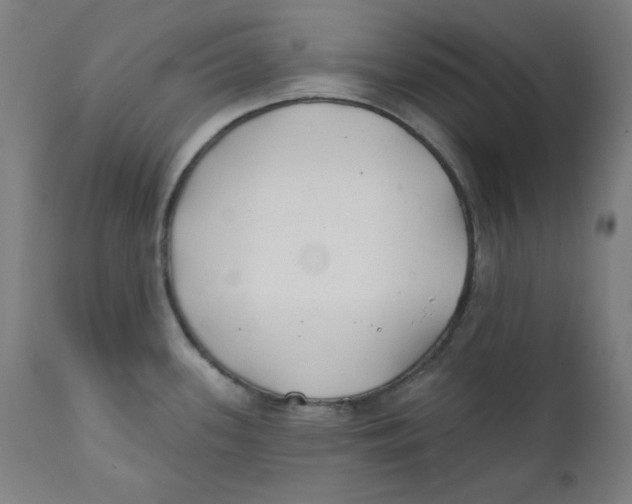 X0000112181339200909041221