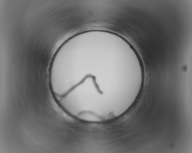 X0000112181341200909041221