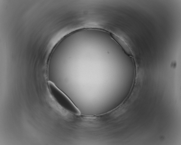 X0000112181342200909041221