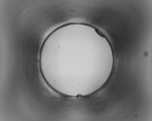 X0000112181343200909041221