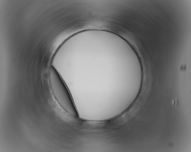 X0000112181344200909041221