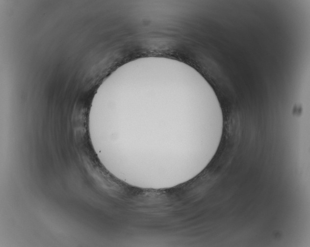 X0000112181346200909041220