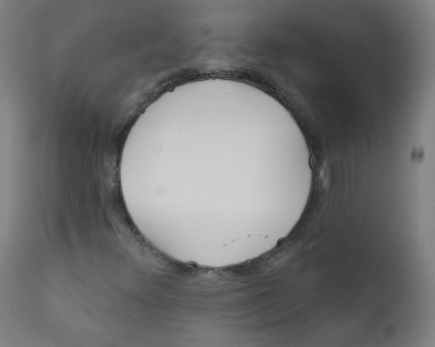 X0000112181348200909041220