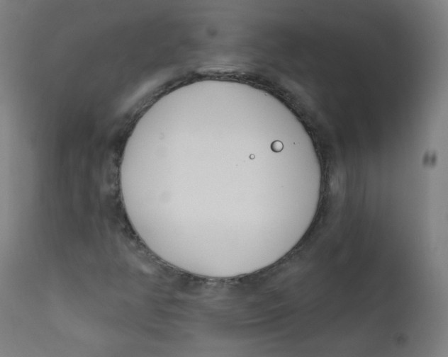 X0000112181350200909041220