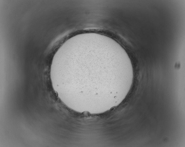X0000112181351200909041220
