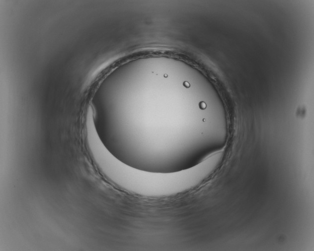 X0000112181352200909041220