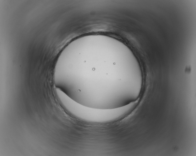 X0000112181353200909041220