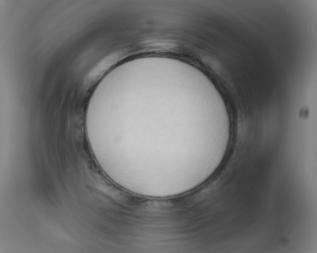 X0000112181354200909041220