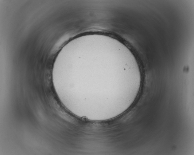 X0000112181355200909041220