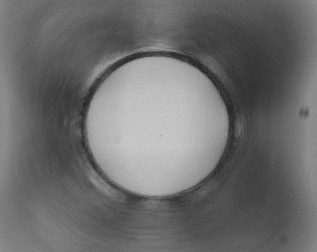 X0000112181356200909041220
