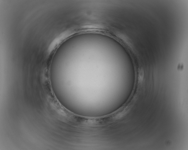X0000112181357200909041220