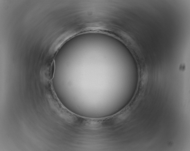 X0000112181361200909041220