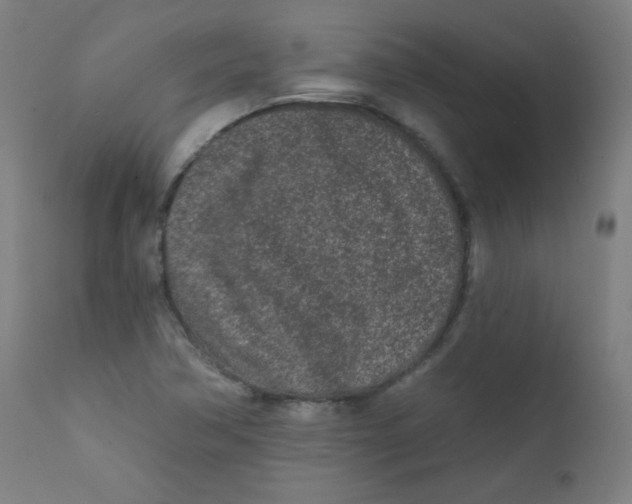 X0000112181362200909041220