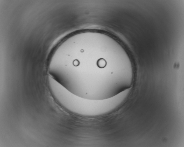 X0000112181364200909041220
