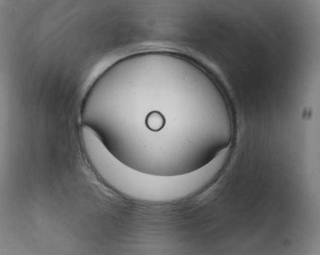 X0000112181365200909041220