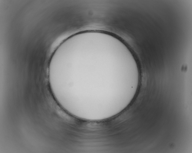 X0000112181366200909041220