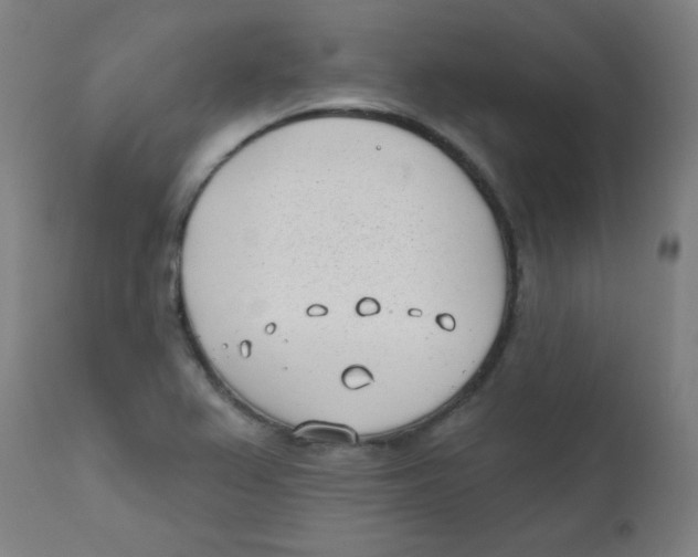 X0000112181367200909041220