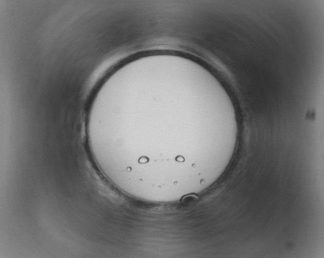 X0000112181368200909041220