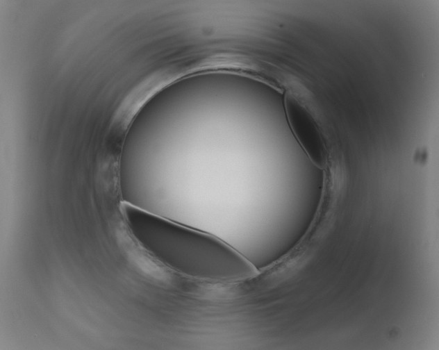 X0000112181369200909041220