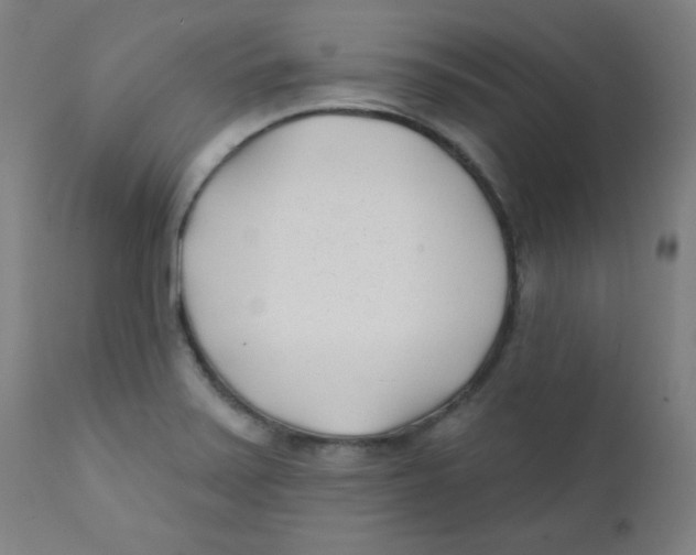 X0000112181371200909041220