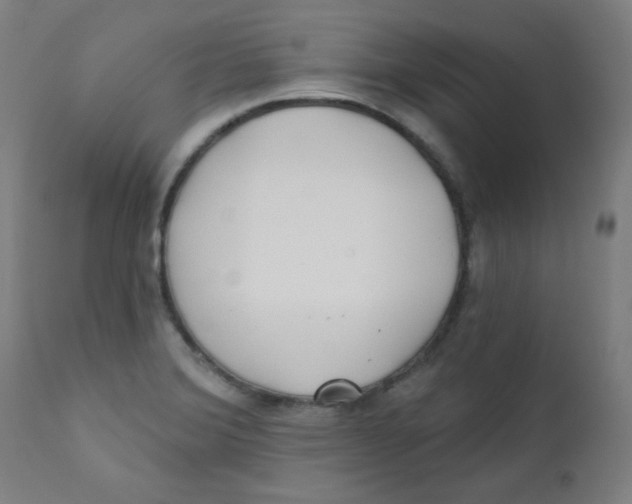 X0000112181372200909041220