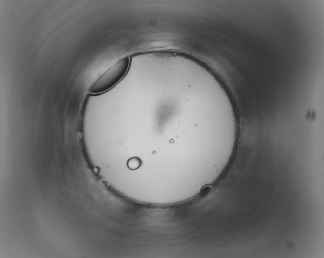 X0000112181373200909041220