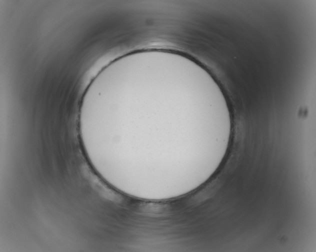X0000112181374200909041220