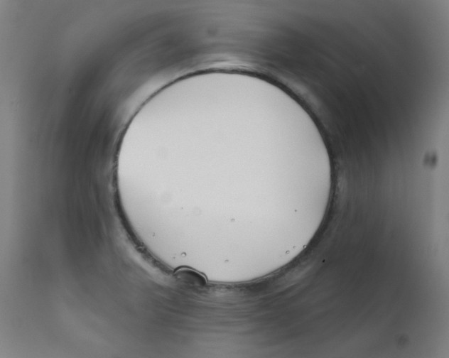 X0000112181375200909041220