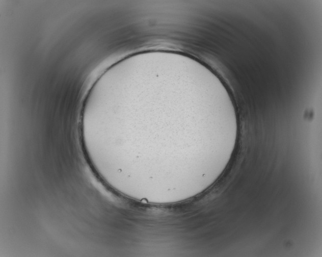 X0000112181379200909041220