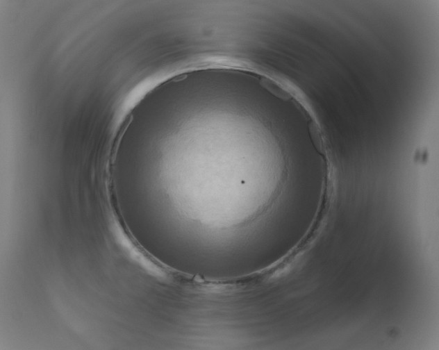 X0000112181381200909041219