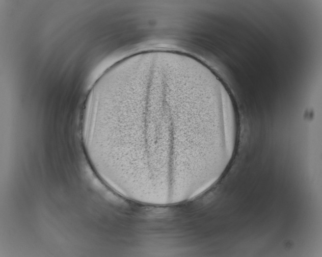 X0000112181382200909041219