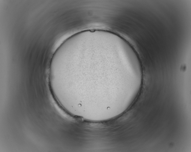 X0000112181383200909041219