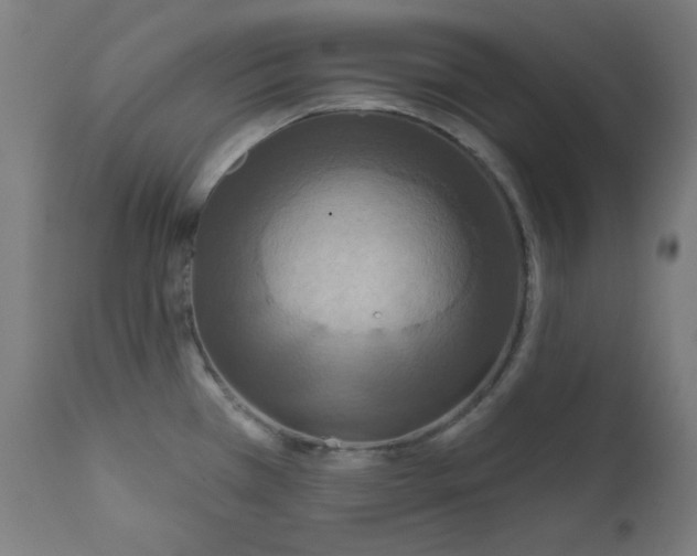 X0000112181385200909041219