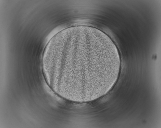 X0000112181386200909041219