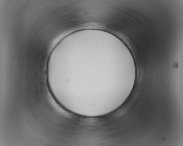 X0000112181387200909041219