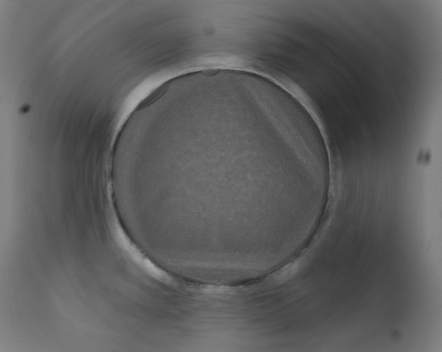 X0000112181389200909041219