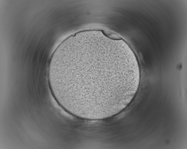X0000112181390200909041219