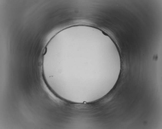 X0000112181391200909041219
